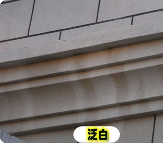 重庆成人蜜桃视频在线观看真石漆遇水发白分析